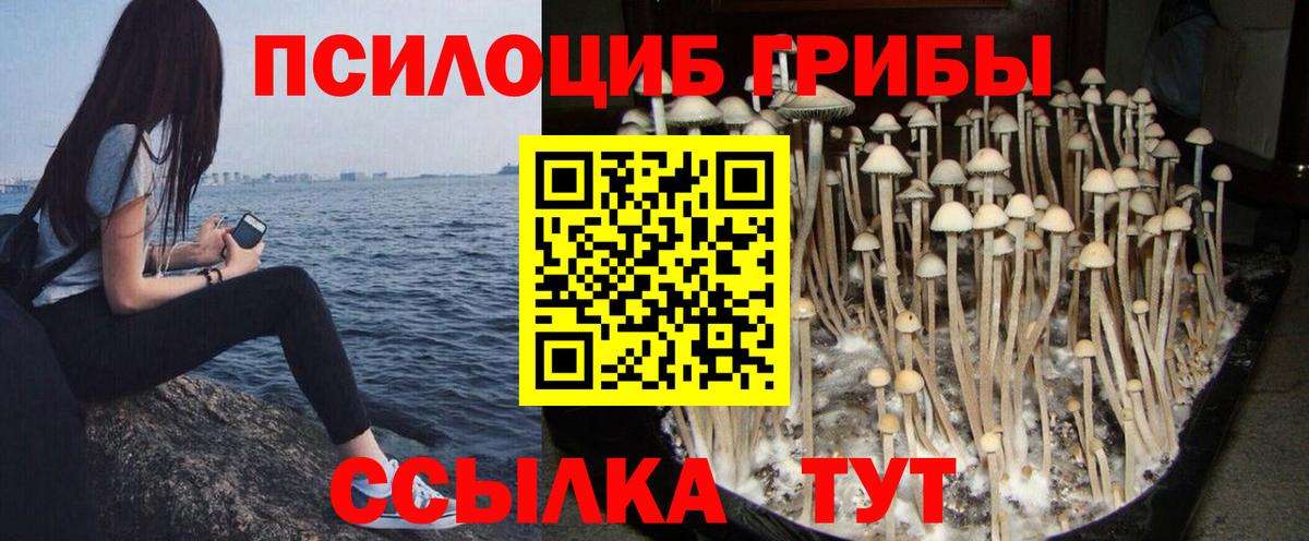Галлюциногенные грибы MAGIC MUSHROOMS Избербаш