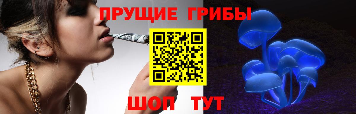 Галлюциногенные грибы прущие грибы  Псилоцибиновые грибы прущие грибы  Избербаш  Вход с VPN 